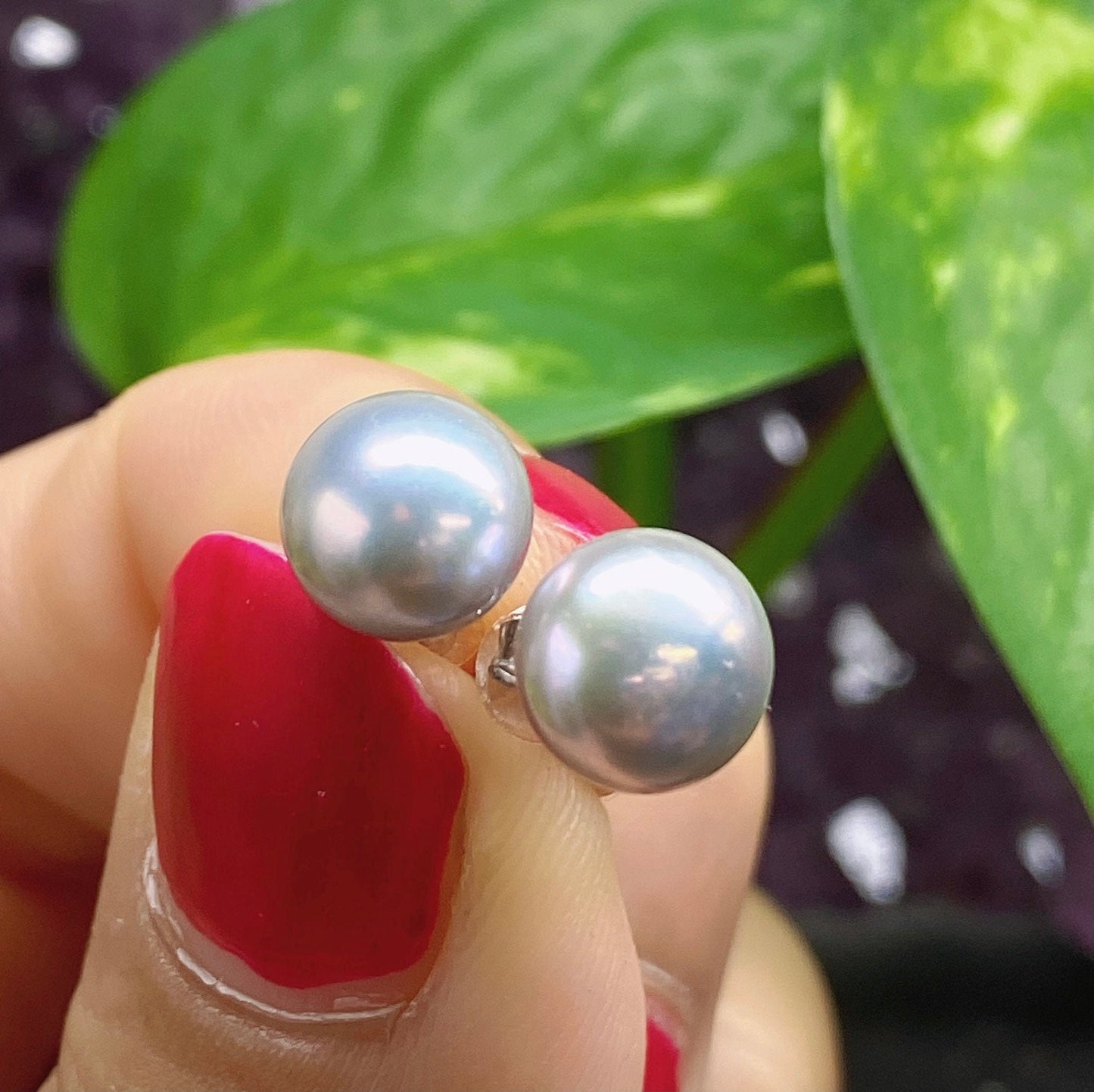 AAA 8-8.5mm 925 Sterling Silver Round Silver-Grey Freshwater Pearl Studs