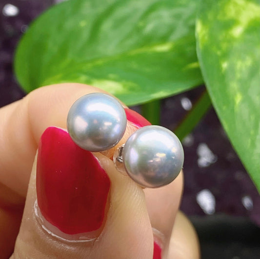 AAA 8-8.5mm 925 Sterling Silver Round Silver-Grey Freshwater Pearl Studs