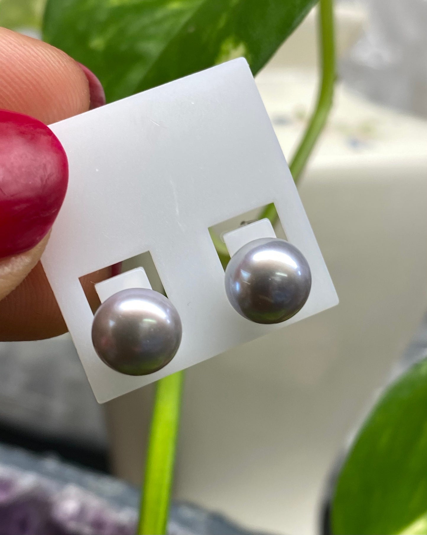 AAA 8-8.5mm 925 Sterling Silver Round Silver-Grey Freshwater Pearl Studs